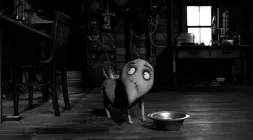 Frankenweenie